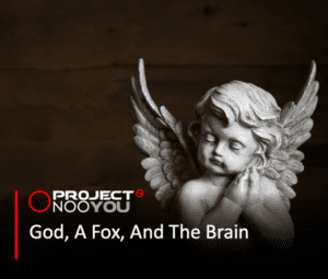 Read more about the article God, A Fox, And The Brain.