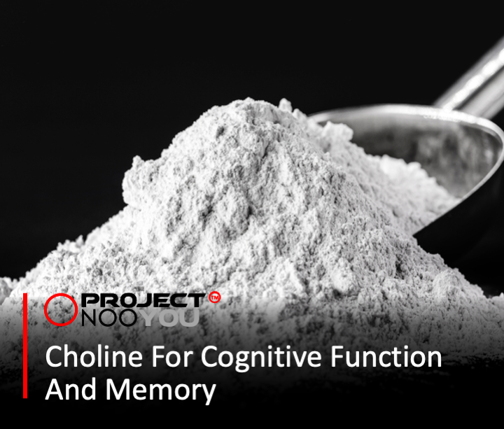 choline for cognitive function and memory