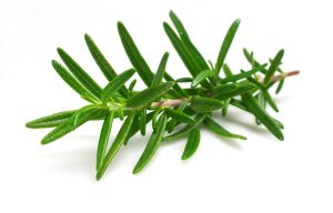 rosemary