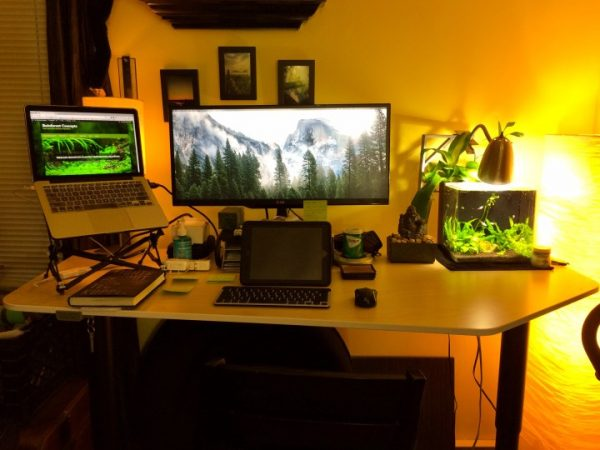 work desk with computer screens